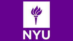 New York University - جامعة نيويورك
